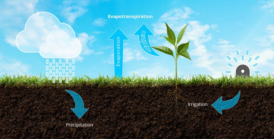 Smart Garden Hub - Evapotranspiracija in ravnovesje v vašem vrtu 